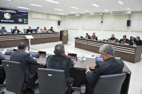 Foto 4 de 29ª Sessão Ordinária de 2026