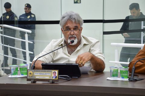 Foto 2 de 35ª Sessão Ordinária de 2026