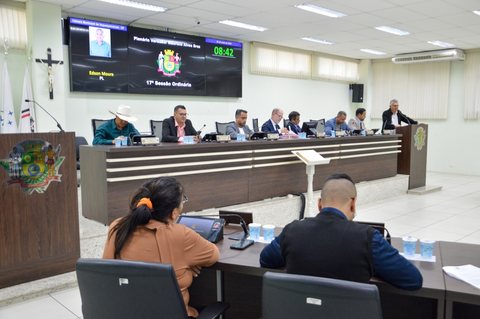 Foto 7 de 17ª Sessão Ordinária de 2026