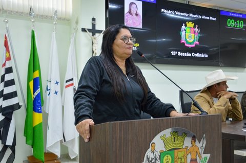 Foto 2 de 15ª Sessão Ordinária de 2026