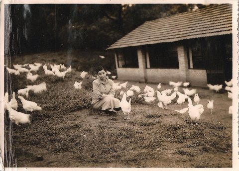 Sra. Helena. Granja Shinoda (1958)