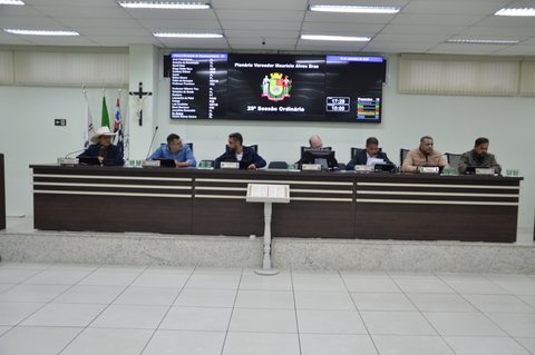 Foto 3 de 29ª Sessão Ordinária de 2026
