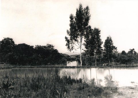 Foto 10