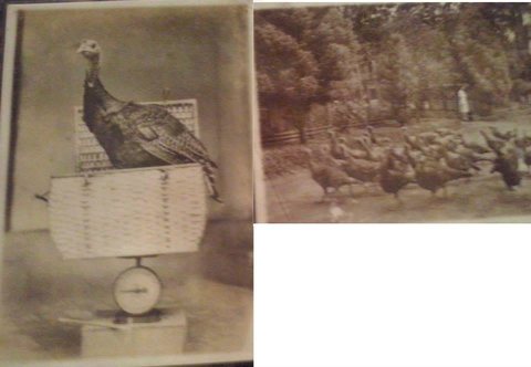 Foto 11