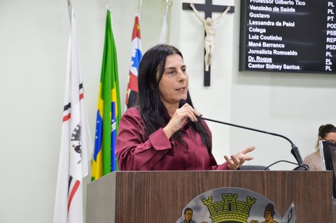 Foto 2 de 30ª Sessão Ordinária de 2026